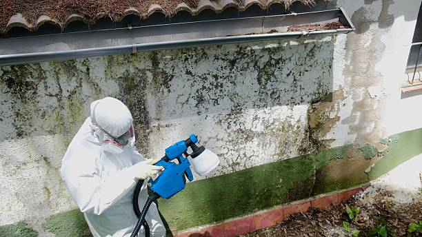 Trusted Mold Testing service in Yale, VA - Cheap Mold Removal